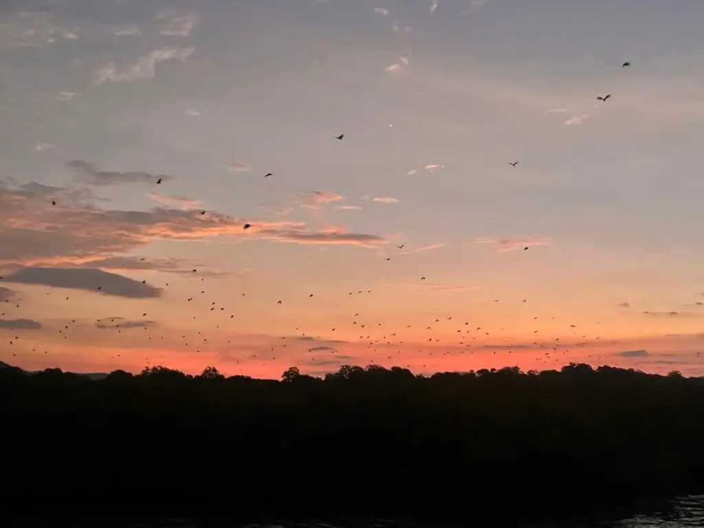 sunset at kalong island