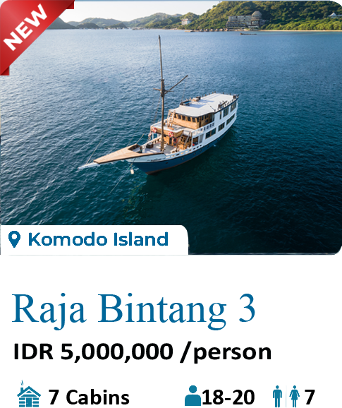 raja bintang 03, raja bintang, bintang, raja, komodoboat tour, raja bintang komodo, raja bintang liveaboard, raja bintang 03 komodo, raja bintang 3, raja bintang 3 liveaboard