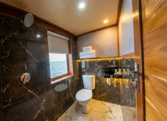 Naturalia Liveabaord, Naturalia, Naturalia Cruise, Naturalia Liveaboard Komodo, komodo boat tour
