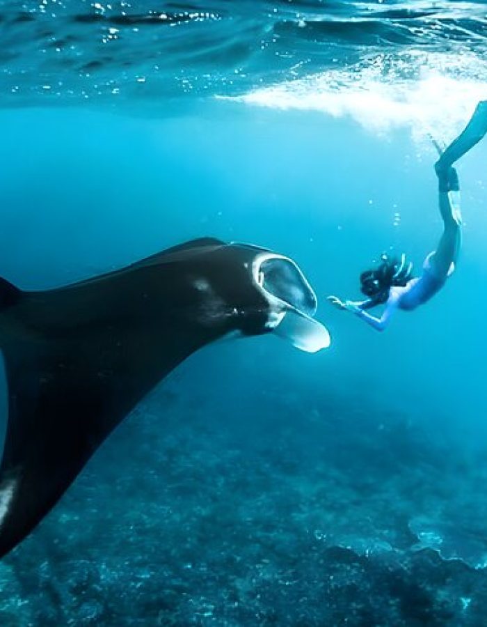 Manta Point, day tour to komodo island, full day tour