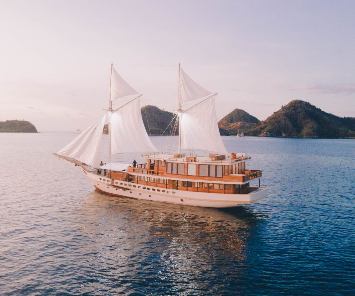 ELBARK CRUISE DRONE1