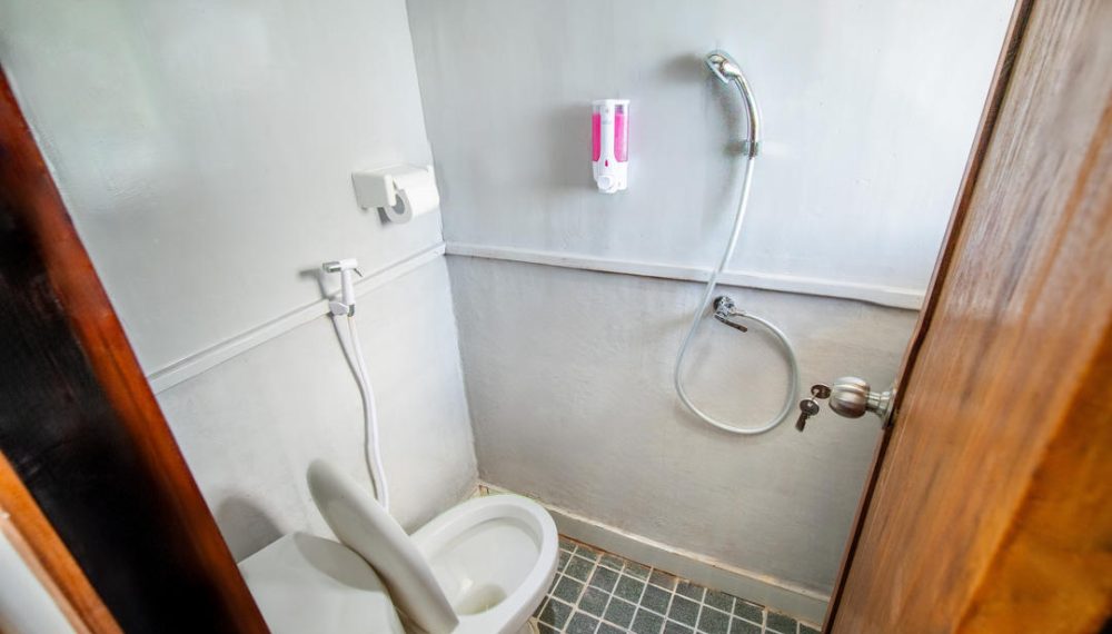 sharing cabin 3 bombana 1