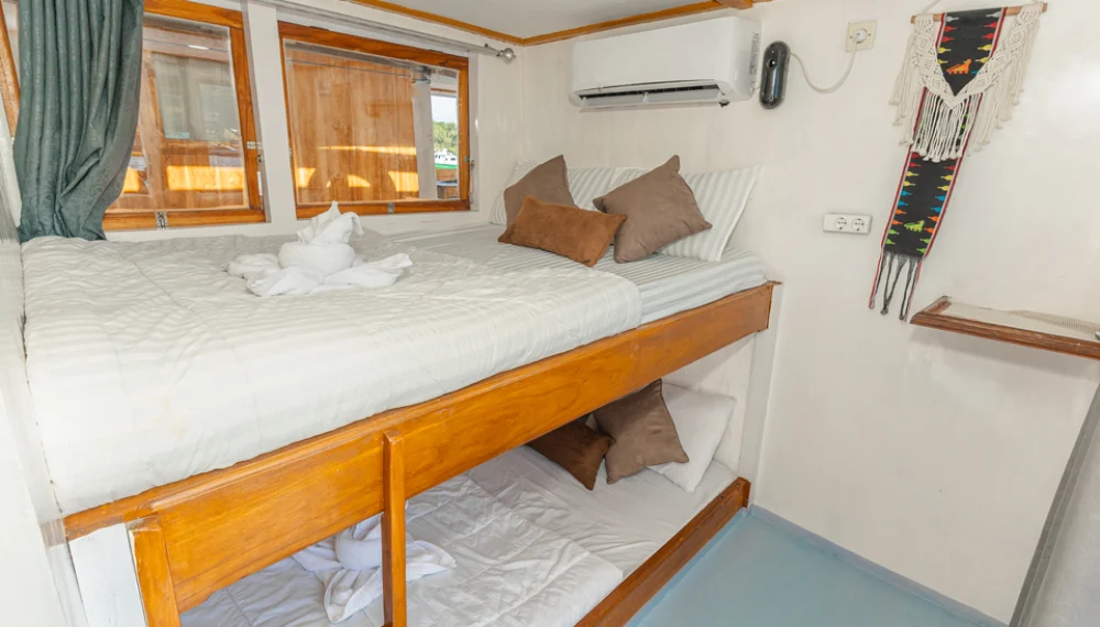 Sharing Cabin, Umami Liveaboard